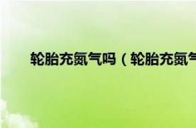 轮胎充氮气吗（轮胎充氮气后果严重相关内容简介介绍）