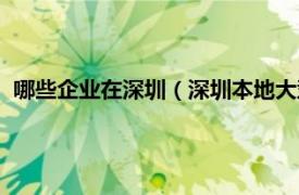 哪些企业在深圳（深圳本地大型企业有哪些相关内容简介介绍）