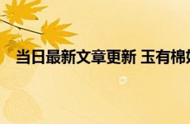 当日最新文章更新 玉有棉好还是没棉好 没棉的是假玉吗