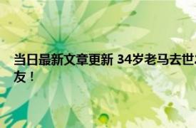 当日最新文章更新 34岁老马去世2匹小马将送葬车拦停 一段视频看哭了网友！