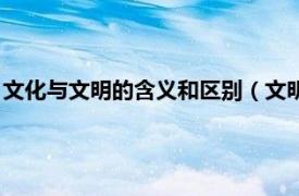 文化与文明的含义和区别（文明和文化的区别相关内容简介介绍）