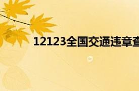 12123全国交通违章查询（全国交通违章查询）