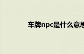 车牌npc是什么意思（npc是什么意思？）