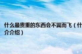 什么最贵重的东西会不翼而飞（什么贵重的东西最容易不翼而飞相关内容简介介绍）