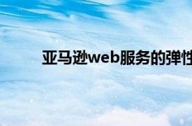 亚马逊web服务的弹性计算云ec2是典型的paas