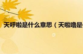 天呼啦是什么意思（天啦噜是什么意思网络相关内容简介介绍）