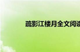 疏影江楼月全文阅读书包网（疏影江楼月）