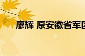 廖辉 原安徽省军区副司令员,顾问是谁