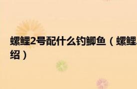 螺鲤2号配什么钓鲫鱼（螺鲤2号野钓和什么搭配相关内容简介介绍）