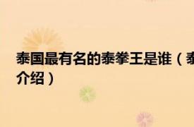 泰国最有名的泰拳王是谁（泰国最厉害的拳王是谁相关内容简介介绍）