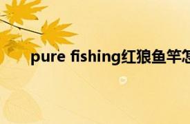 pure fishing红狼鱼竿怎么样（美国红狼鱼竿好吗）