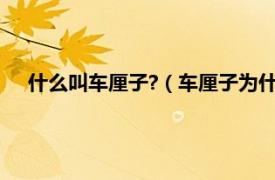 什么叫车厘子?（车厘子为什么叫车厘子相关内容简介介绍）