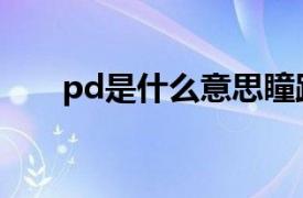 pd是什么意思瞳距（pd是什么意思）