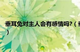 垂耳兔对主人会有感情吗?（垂耳兔会认主人吗相关内容简介介绍）