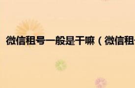 微信租号一般是干嘛（微信租号有什么后果相关内容简介介绍）