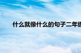 什么就像什么的句子二年级上册（什么就像什么的句子）