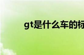 gt是什么车的标志（gt是什么车）