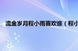 流金岁月程小雨喜欢谁（程小雨 剧集《流金岁月》里的角色）