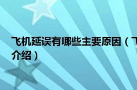 飞机延误有哪些主要原因（飞机延误的原因有哪些相关内容简介介绍）