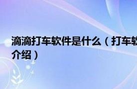 滴滴打车软件是什么（打车软件除了滴滴还有什么相关内容简介介绍）