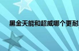 黑金天能和超威哪个更耐用（天能和超威哪个更耐用）