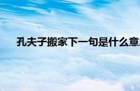 孔夫子搬家下一句是什么意思（孔夫子搬家下一句是什么）