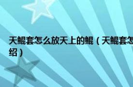 天鲲套怎么放天上的鲲（天鲲套怎么放鲲-天鲲套如何放鲲相关内容简介介绍）