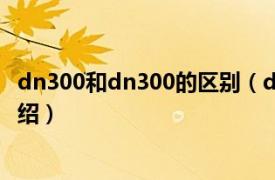 dn300和dn300的区别（dn300是什么意思相关内容简介介绍）