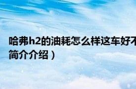 哈弗h2的油耗怎么样这车好不好（哈弗h2油耗实际多少相关内容简介介绍）