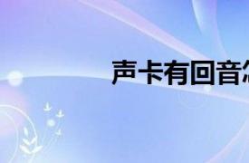 声卡有回音怎么调（声卡）