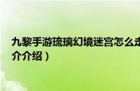 九黎手游琉璃幻境迷宫怎么走（九黎琉璃梦境怎么走相关内容简介介绍）