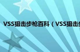 VSS狙击步枪百科（VSS狙击步枪 前苏联研发的微声狙击步枪）