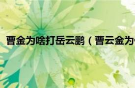 曹金为啥打岳云鹏（曹云金为什么打岳云鹏相关内容简介介绍）