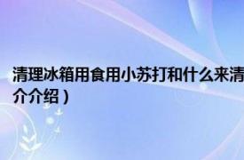 清理冰箱用食用小苏打和什么来清理呢（怎样用小苏打清洗冰箱相关内容简介介绍）