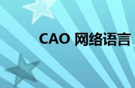 CAO 网络语言（CAO 网络语言）