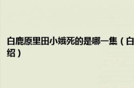 白鹿原里田小娥死的是哪一集（白鹿原田小娥之死是哪一集相关内容简介介绍）