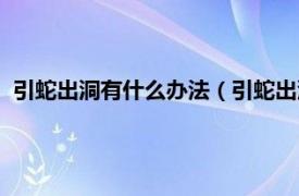 引蛇出洞有什么办法（引蛇出洞是什么招式相关内容简介介绍）