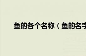 鱼的各个名称（鱼的名字有哪些相关内容简介介绍）