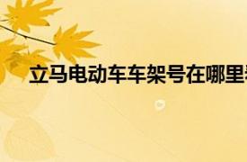 立马电动车车架号在哪里看（电动车车架号在哪里看）