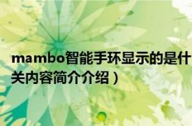 mambo智能手环显示的是什么内容（mambo智能手环怎么用相关内容简介介绍）