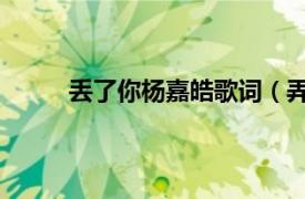 丢了你杨嘉皓歌词（弄丢了你 殷嘉豪演唱单曲）