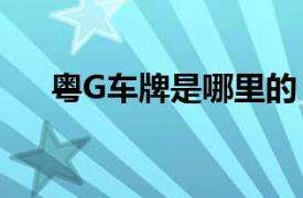 粤G车牌是哪里的（粤g是哪里的车牌）