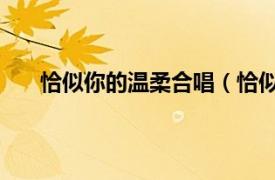 恰似你的温柔合唱（恰似你的温柔 金志文演唱歌曲）