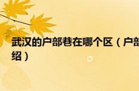 武汉的户部巷在哪个区（户部巷属于武汉哪个区相关内容简介介绍）