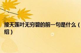 接天莲叶无穷碧的前一句是什么（接天莲叶无穷碧的下一句相关内容简介介绍）