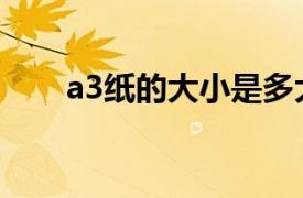 a3纸的大小是多大（a3纸大小多少）