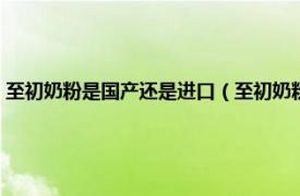 至初奶粉是国产还是进口（至初奶粉是哪个国家的品牌相关内容简介介绍）