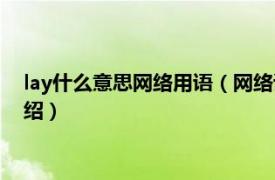 lay什么意思网络用语（网络语言lay了什么意思相关内容简介介绍）