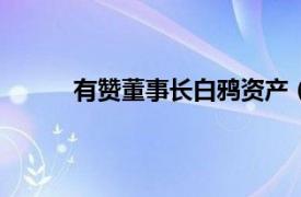 有赞董事长白鸦资产（白鸦 有赞创始人/CEO）