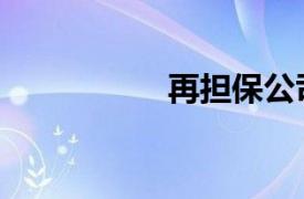 再担保公司（再担保）